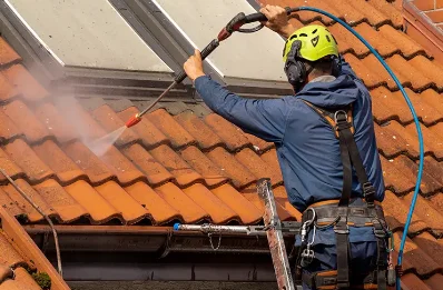 Démoussage et hydrofuge de toiture à Bizou